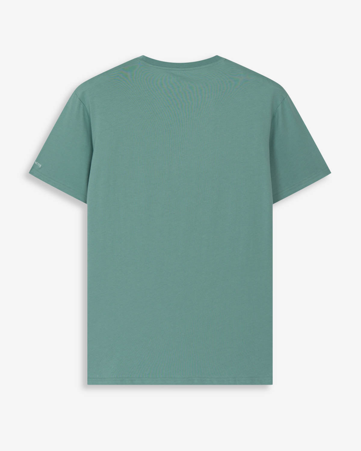 CAMISETA NEW ENGLAND BIG and TALL
