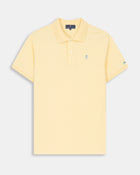 POLO ICON COLORS