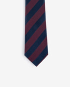 Ivy League Striped Tie