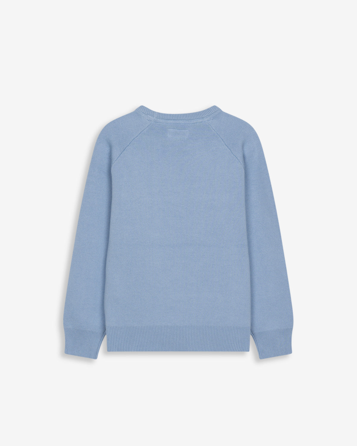Jersey BALTIMORE KIDS azul cielo de Harper & Neyer, vista trasera lisa en punto de algodón con cuello redondo