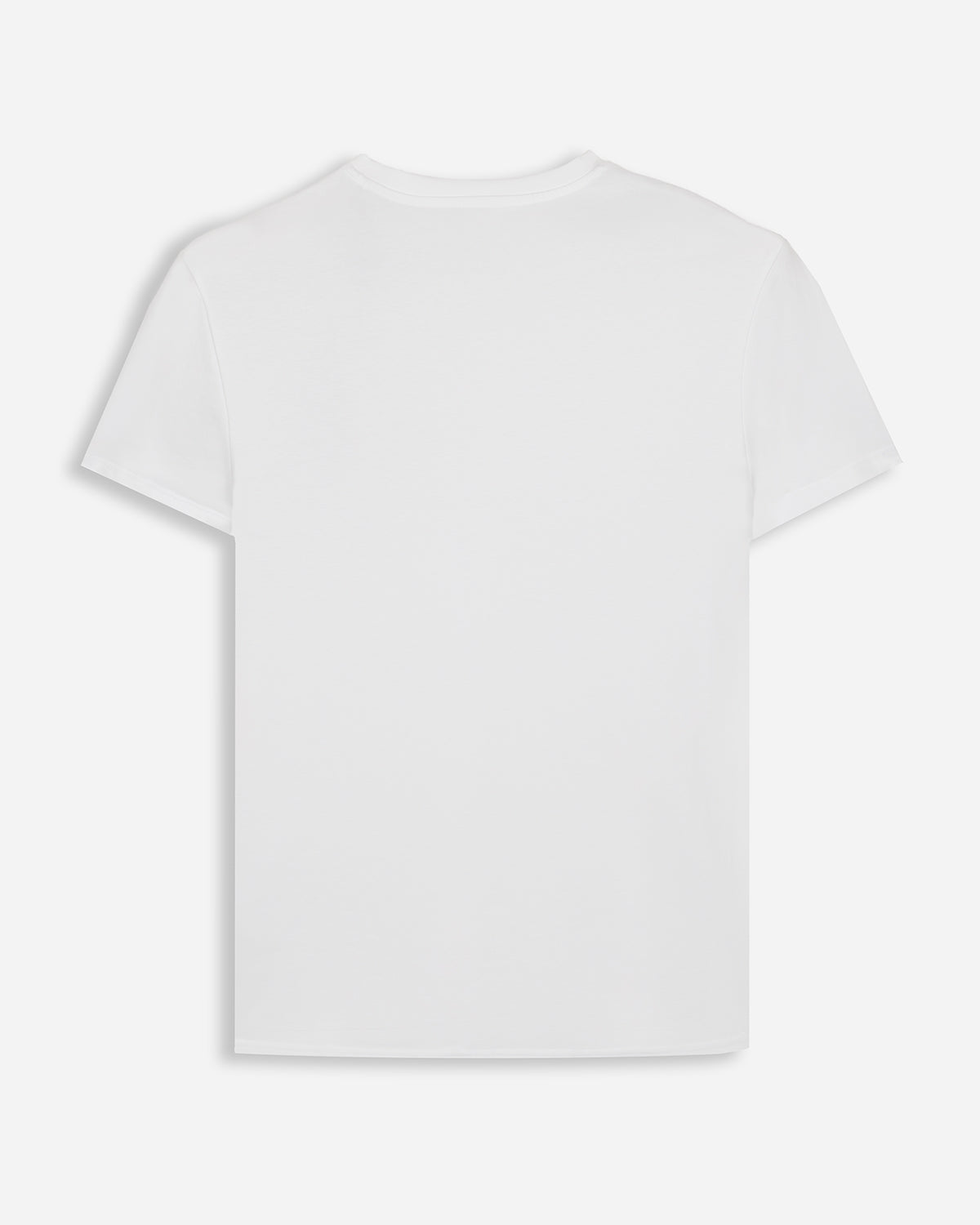 CAMISETA ICON V NECK