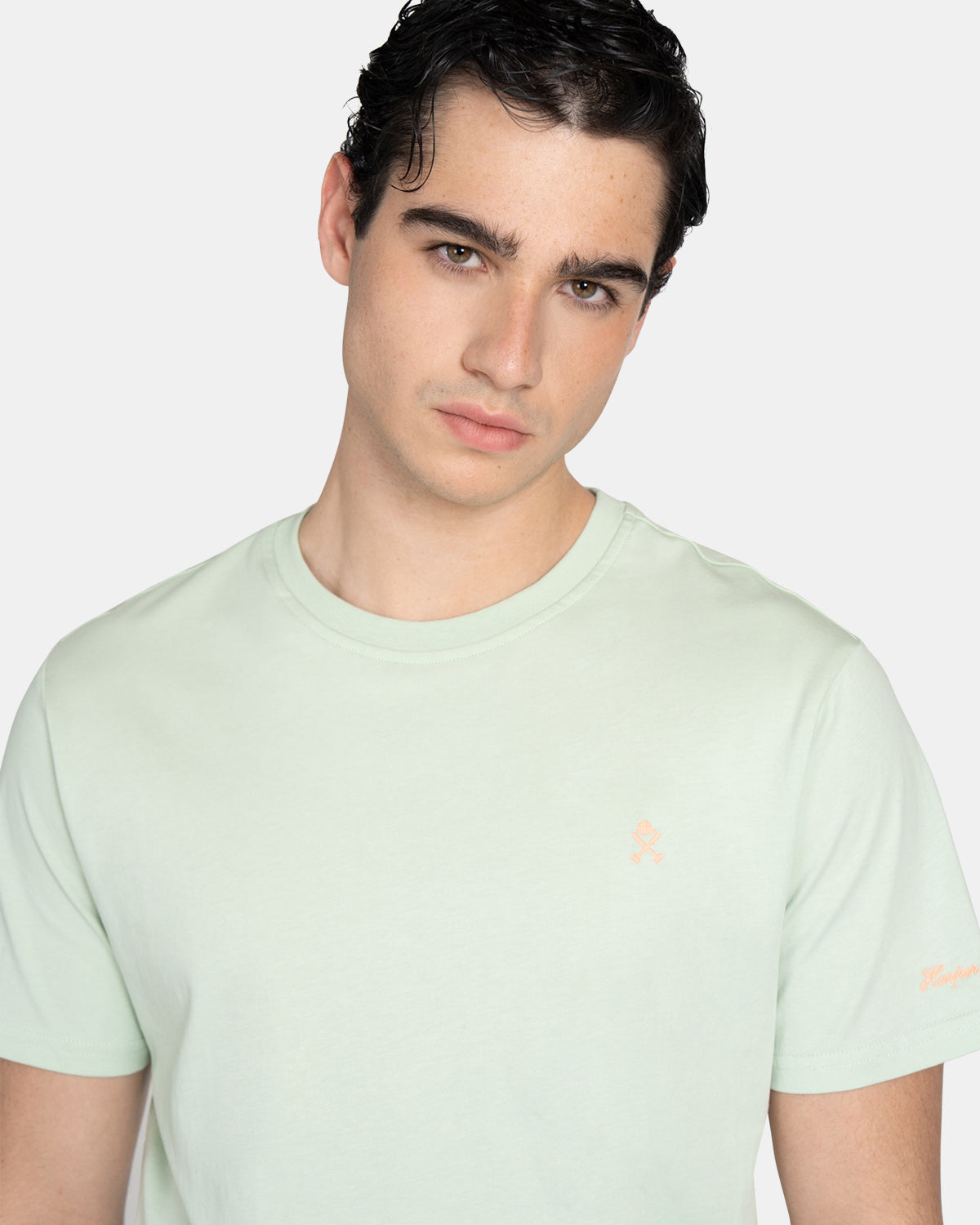 CAMISETA ICON COLORS