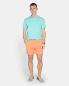 CAMISETA LIVE HARPER