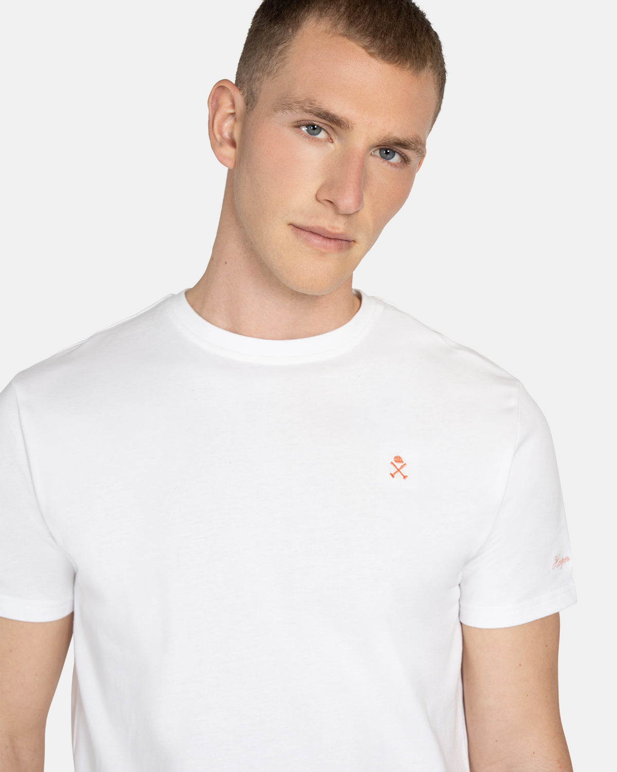 CAMISETA WAVE and SIP