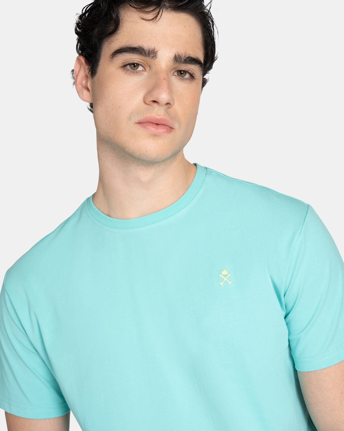 CAMISETA WAVE and SIP