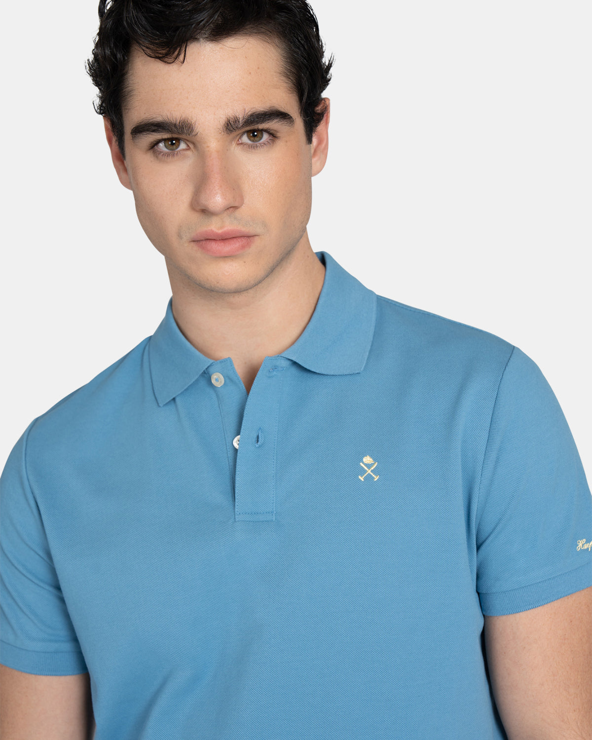 POLO ICON COLORS