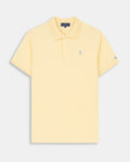Polo Icon Colors