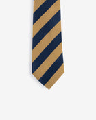 Ivy League Striped Tie
