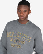 Sudadera RUGBY de Harper & Neyer en gris oscuro jaspeado, plano medio con estampado y camiseta verde salvia asomando por el cuello